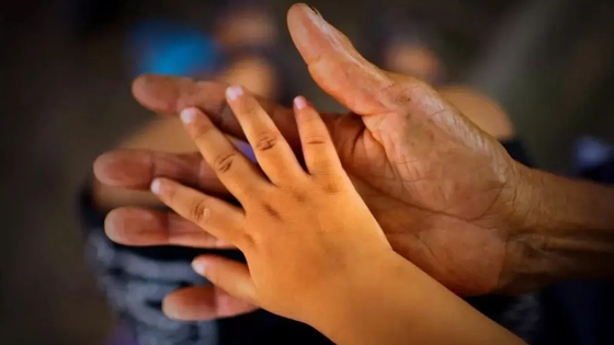 民政部公布数据：到去年底河南事实无人抚养儿童为2.8万人