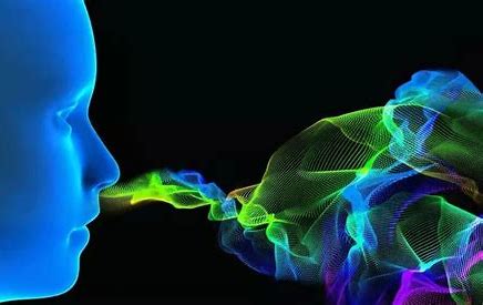 你的嗅觉可能比你想象的更灵敏