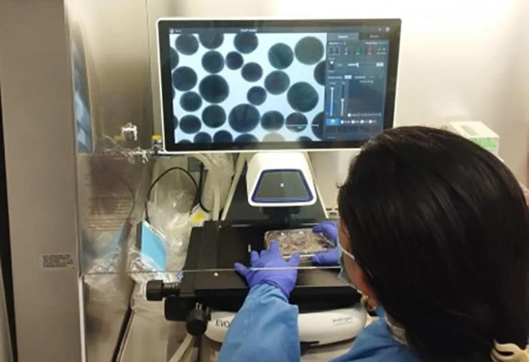 研究显示自闭症严重程度与大脑过度生长有关